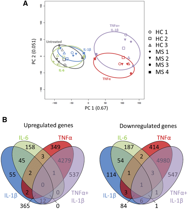 Figure 4