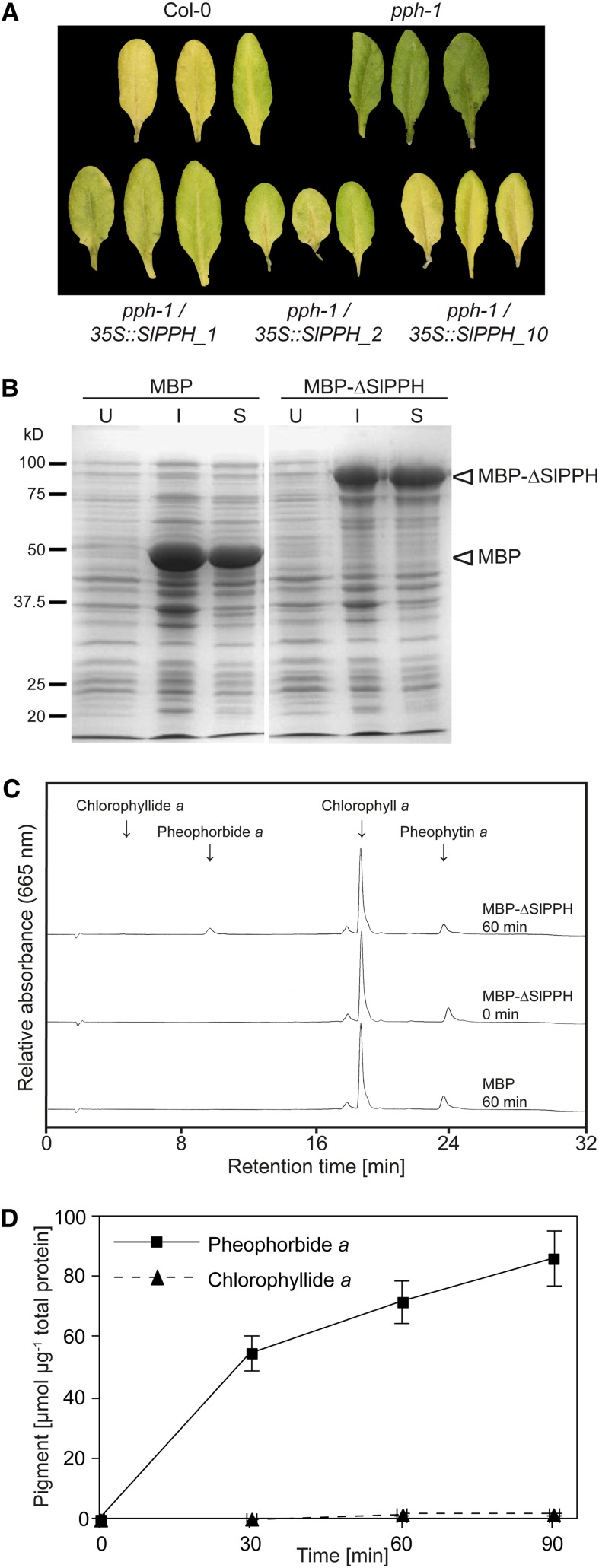 Figure 5.