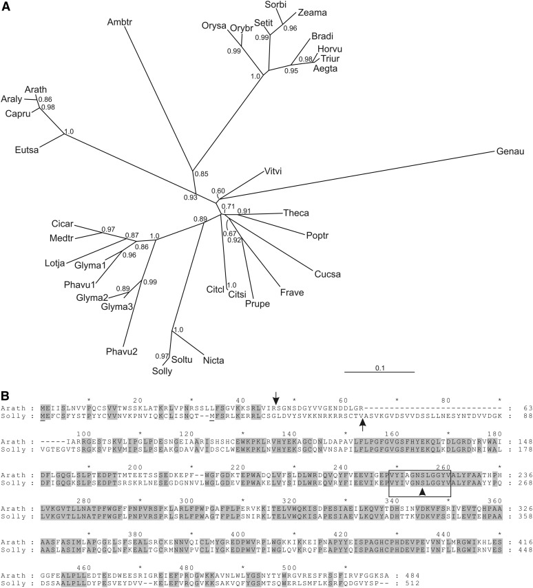 Figure 3.