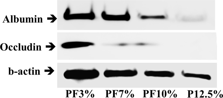 Fig 9