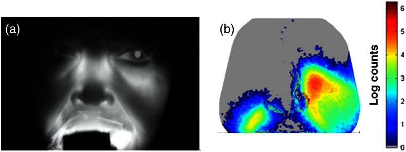 Fig. 7