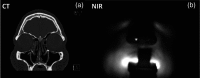 Fig. 8