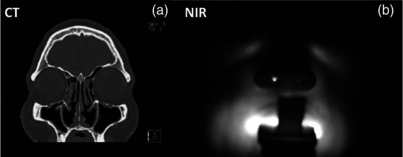 Fig. 8