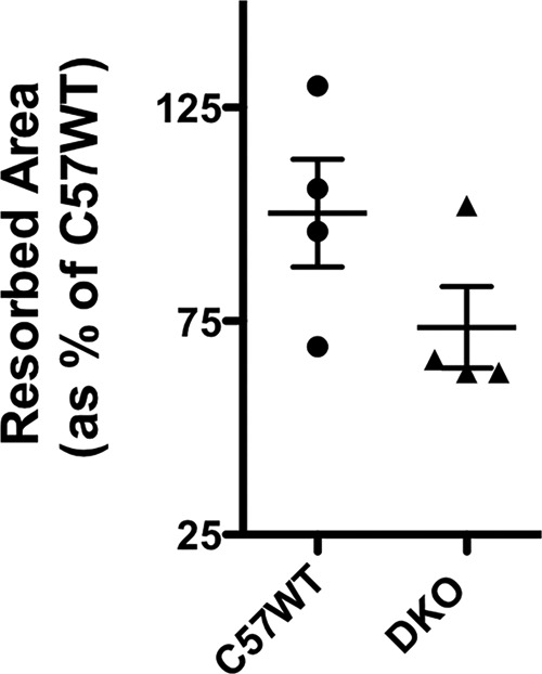 Figure 10.