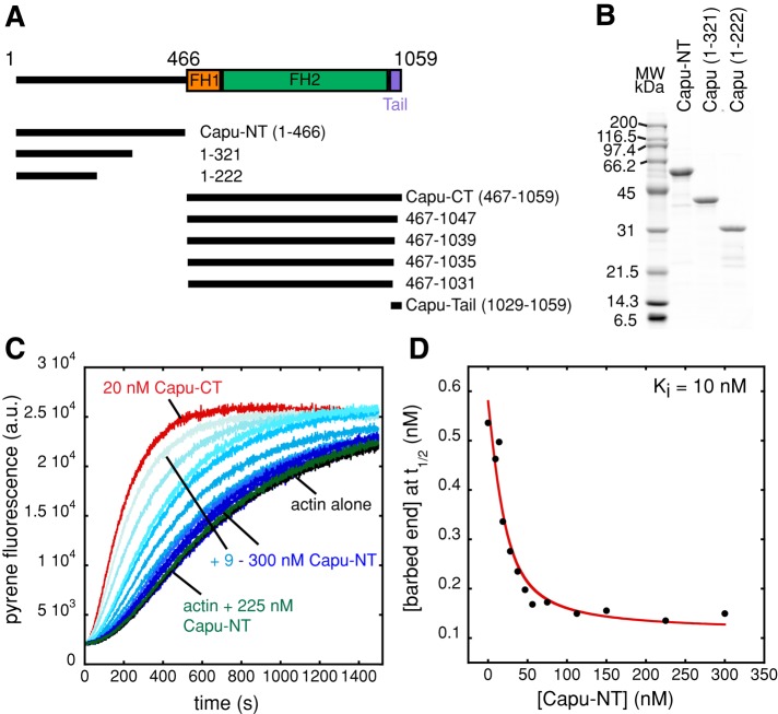 FIGURE 1: