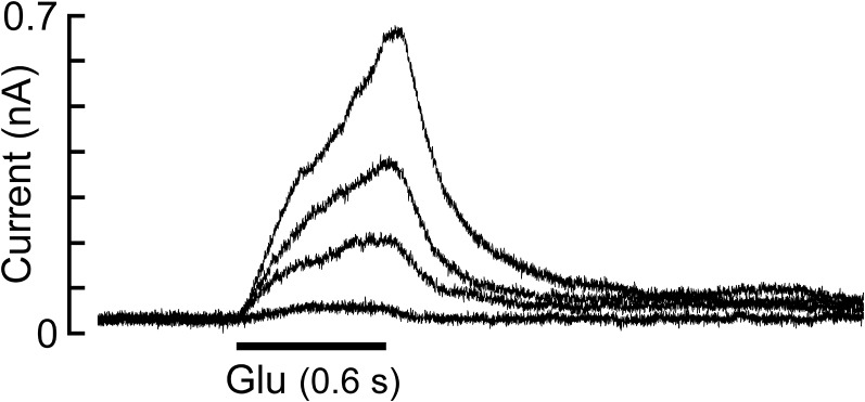 Fig. S7.