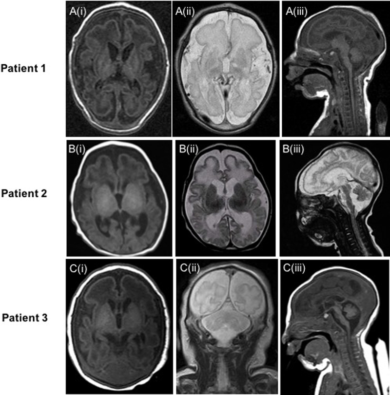 Figure 1: