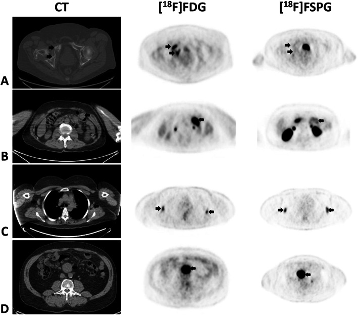 Fig. 5