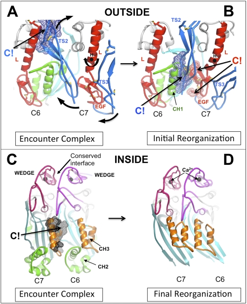 FIGURE 5.