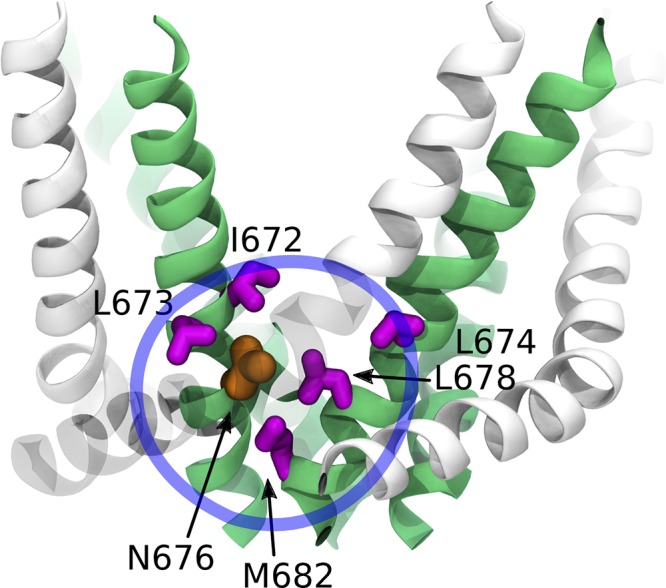 Figure 6.