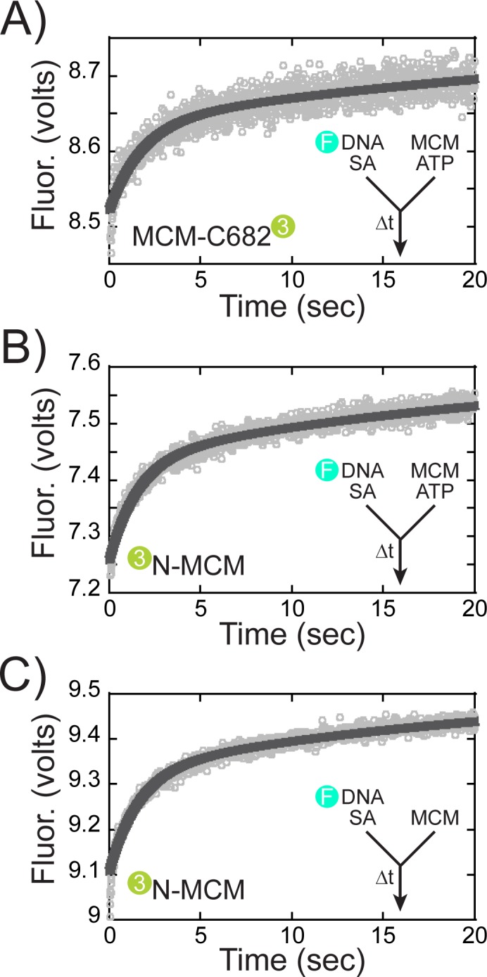 Figure 6—figure supplement 1.