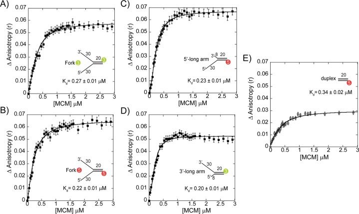 Figure 1—figure supplement 3.