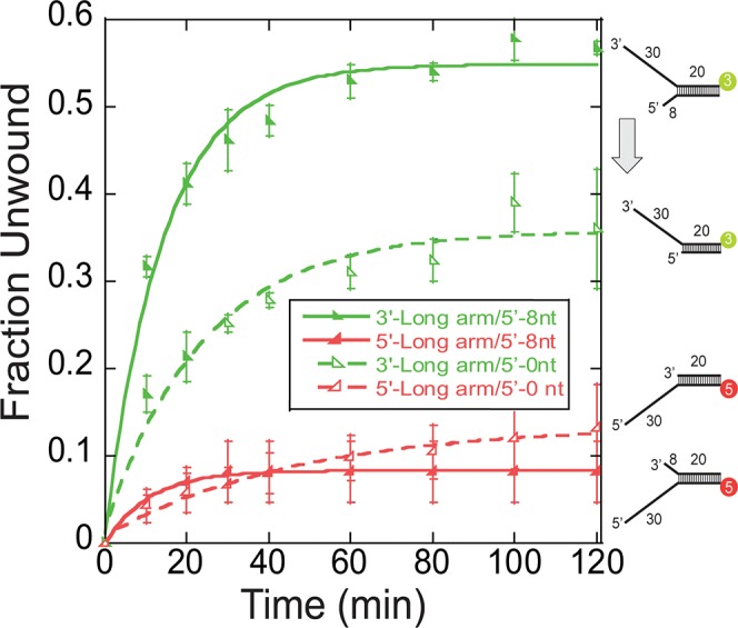 Figure 4—figure supplement 1.