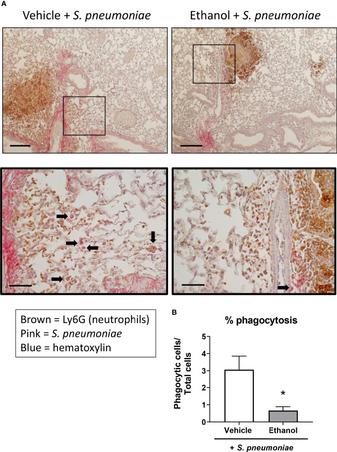 Figure 6