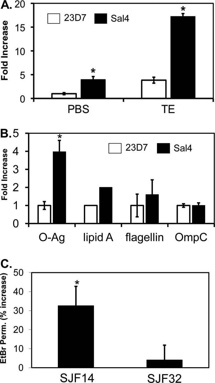 Fig 3