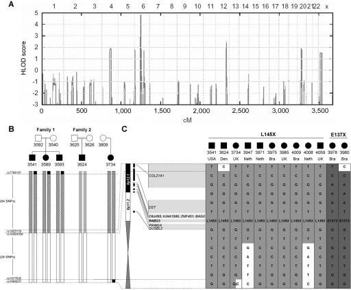 Figure  2. 