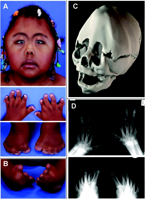 Figure  1. 