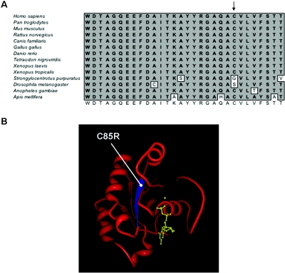 Figure  4. 