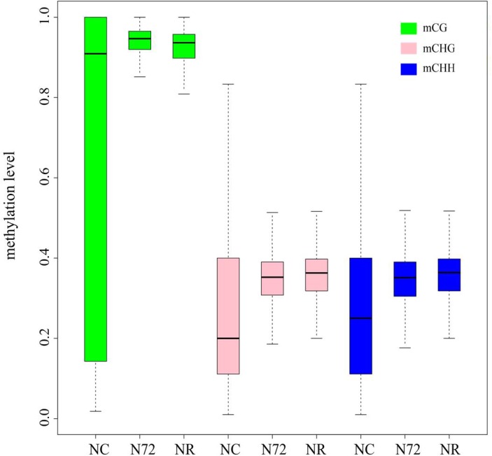 FIGURE 2