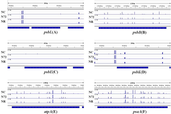 FIGURE 3