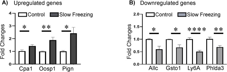 Fig 8