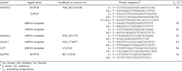 graphic file with name bire-82-06-24-t01.jpg