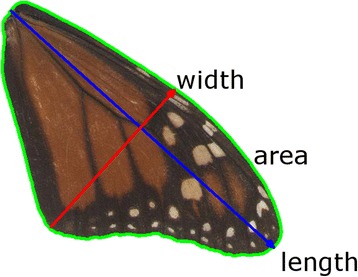 Fig. 1