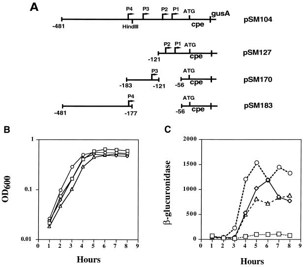 FIG. 3