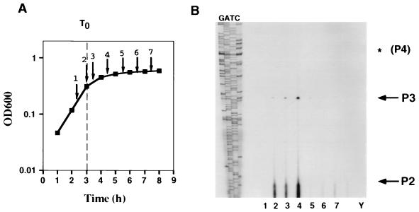 FIG. 6