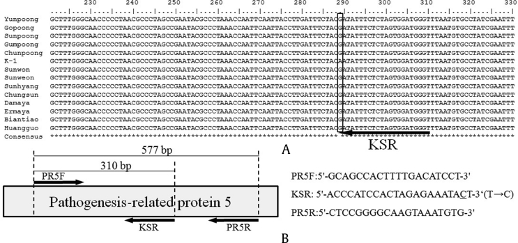 Fig. 1