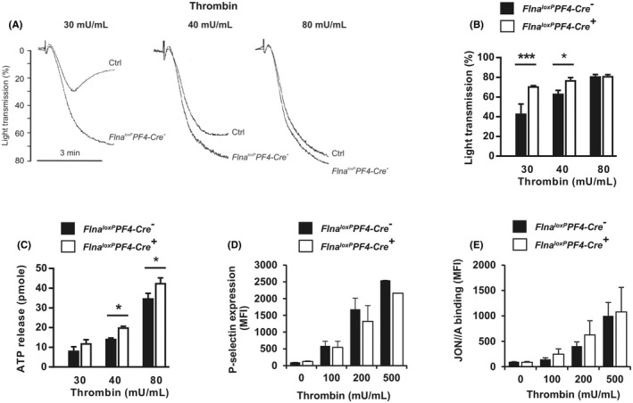 FIGURE 3