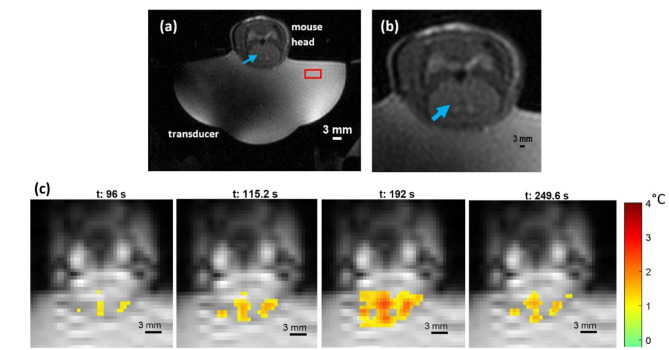 Fig. 9