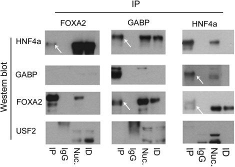 Figure 6.