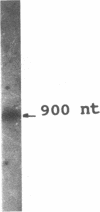 102