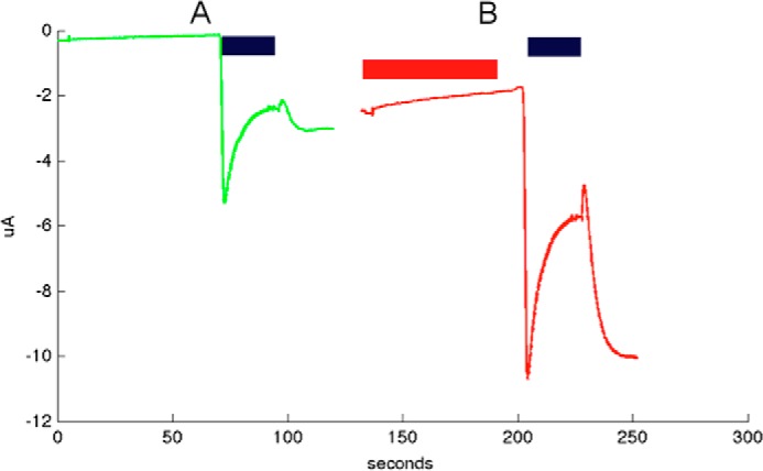 FIGURE 10.