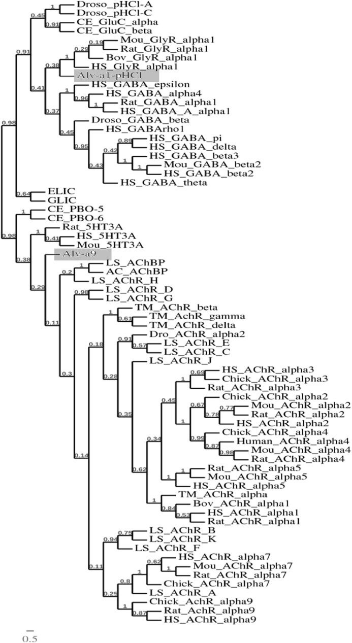 FIGURE 3.