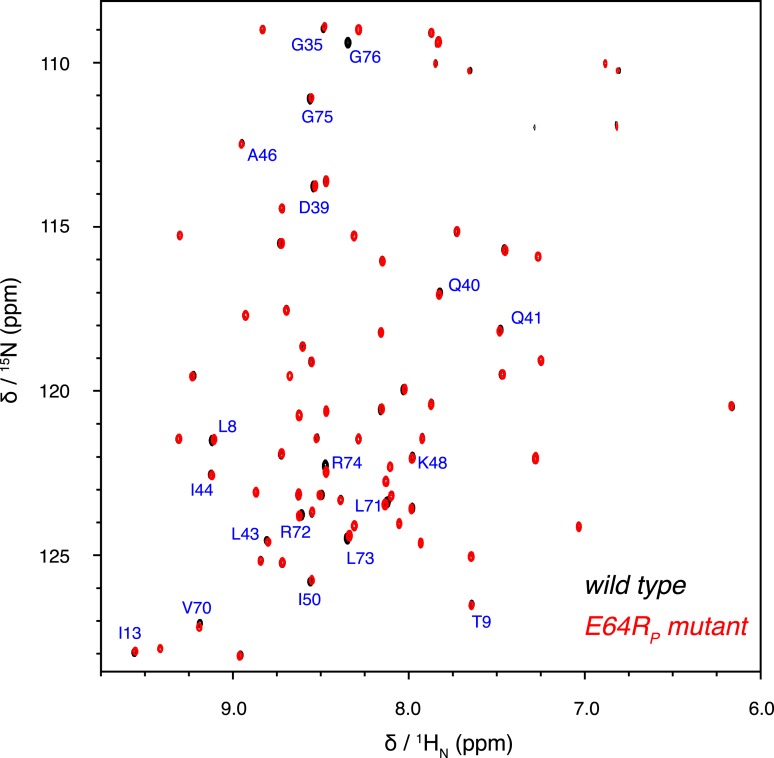 Figure 5—figure supplement 2.