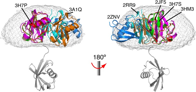 Figure 1—figure supplement 7.