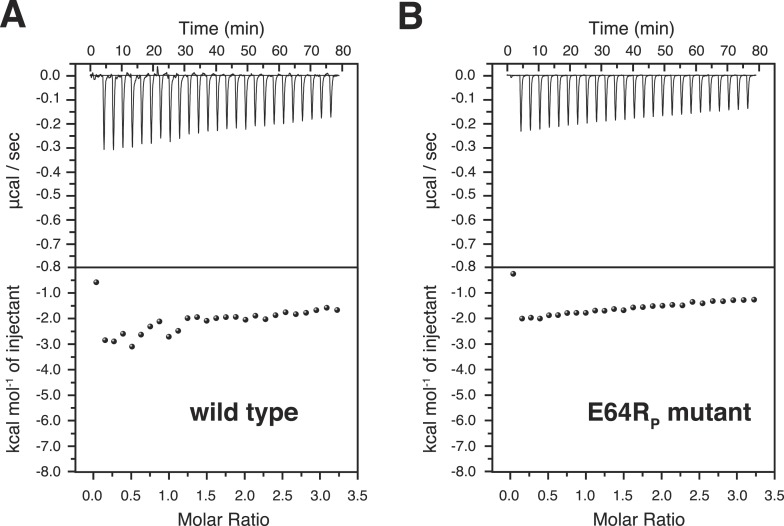 Figure 7—figure supplement 1.