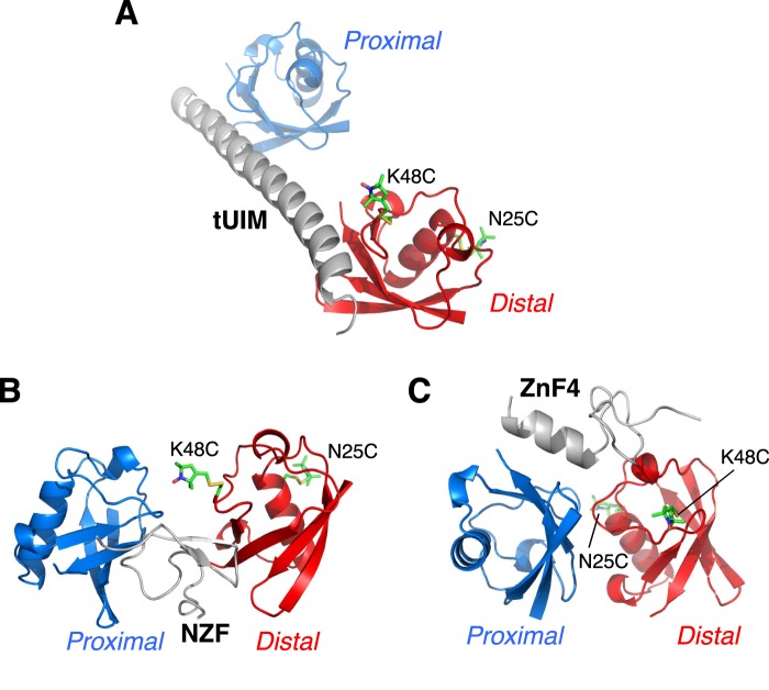 Figure 1—figure supplement 2.