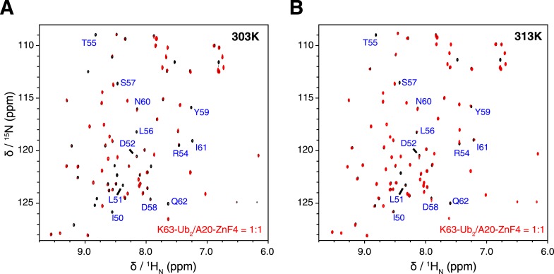 Figure 7—figure supplement 2.