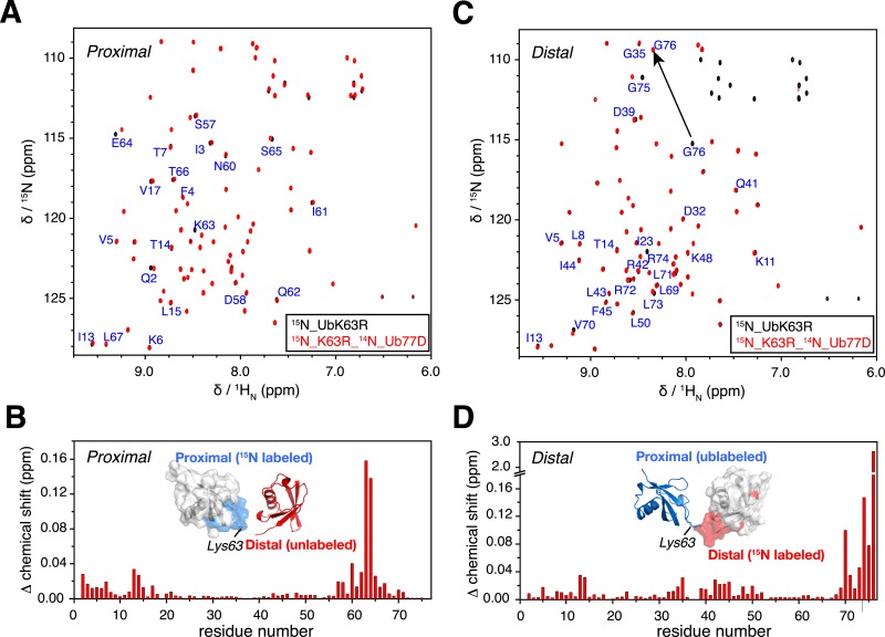 Figure 1—figure supplement 1.