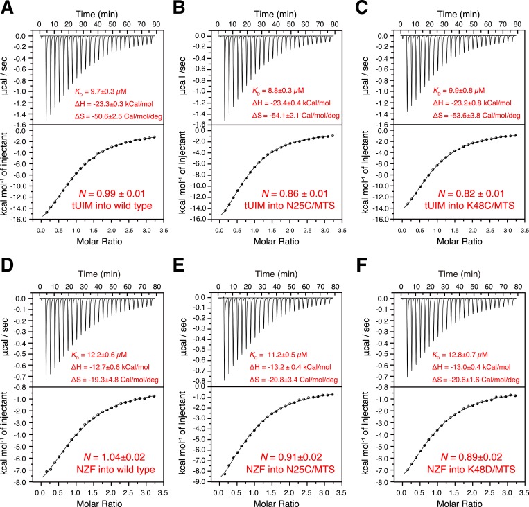 Figure 1—figure supplement 3.