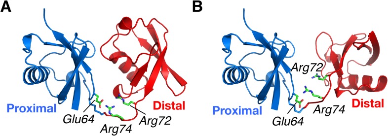 Figure 5—figure supplement 1.