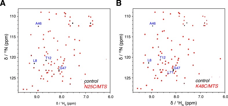 Figure 1—figure supplement 4.