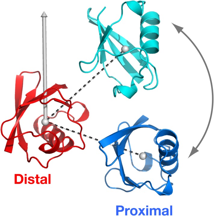 Figure 4—figure supplement 1.