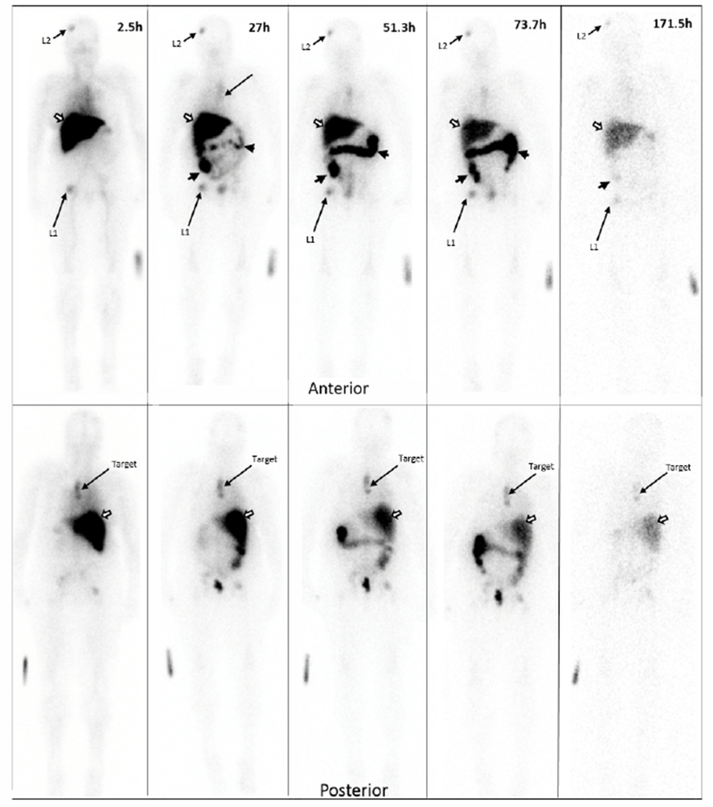 Figure 2A.