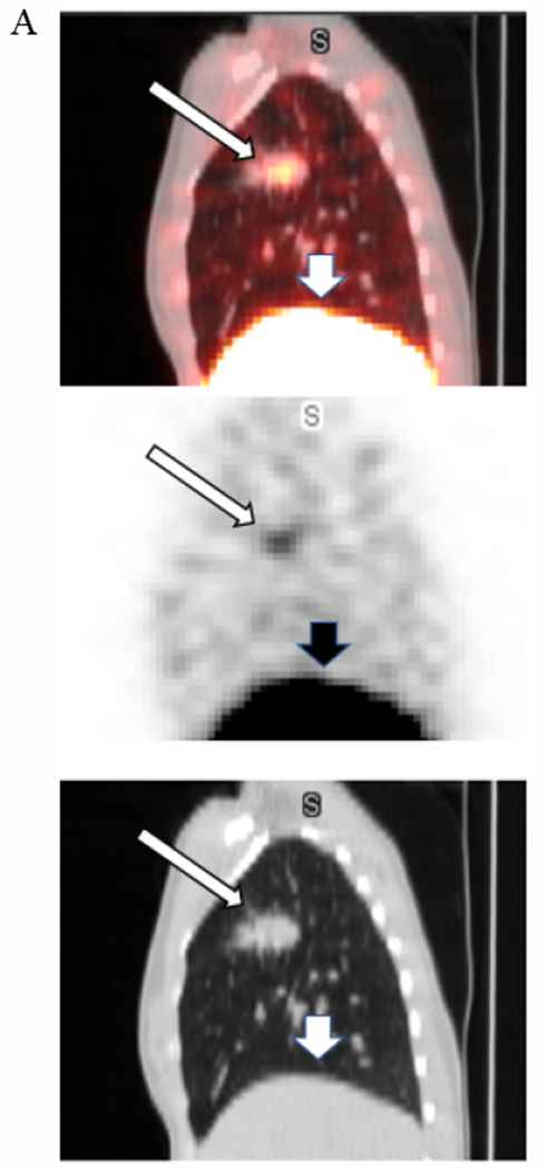 Figure 3A.