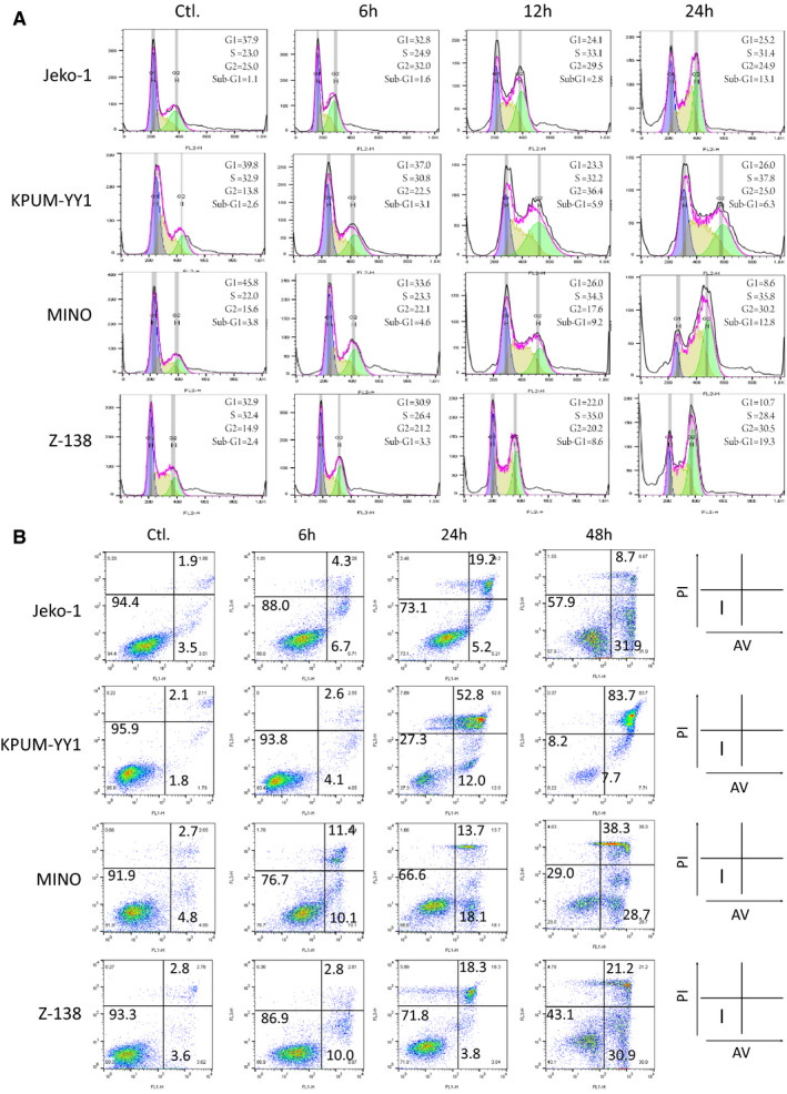 FIGURE 4