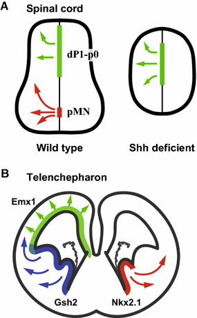 Fig. 4